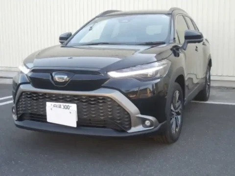 Corolla cross in cheap price
