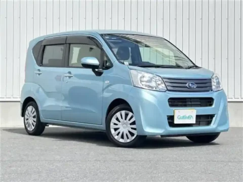 Suabru Stella in best price