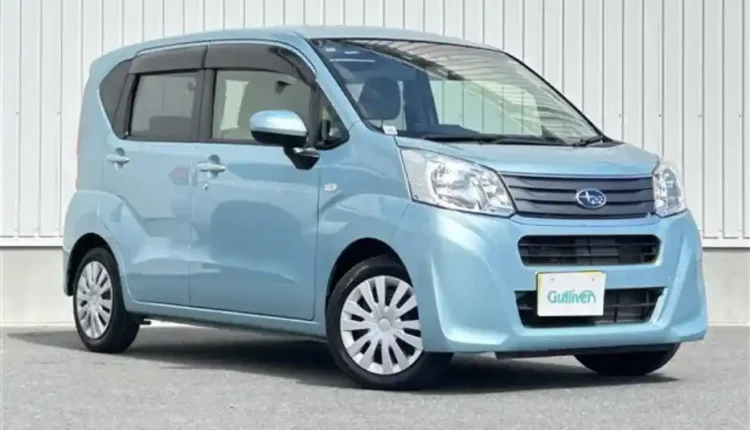Suabru Stella in best price