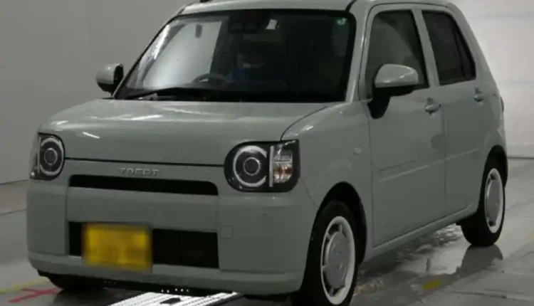 Mira Taccot 2024 Slightly used