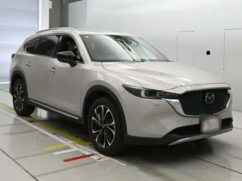 Suv in budget