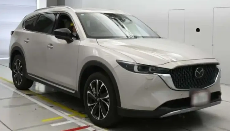 Suv in budget