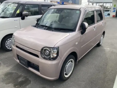 Mira Tacot in best price
