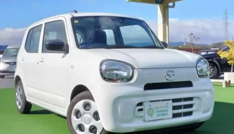 mambosa cars
