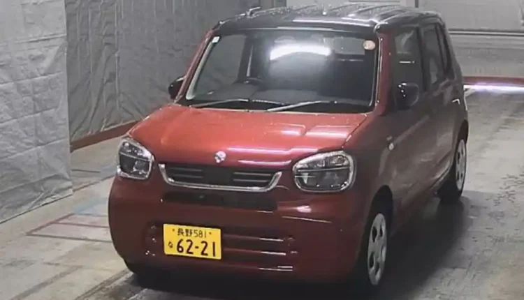 Alto 2025
