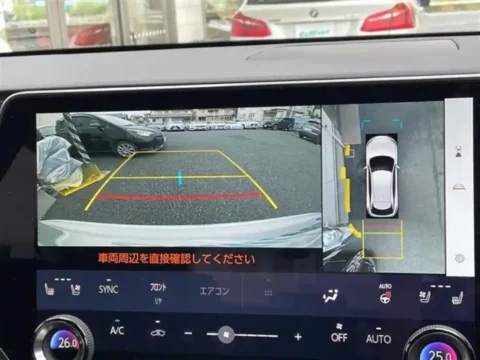 around view camera