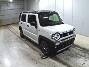 Import in St lucia