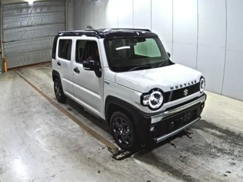 Import in St lucia
