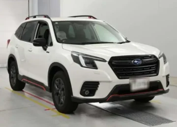 Suabru forester