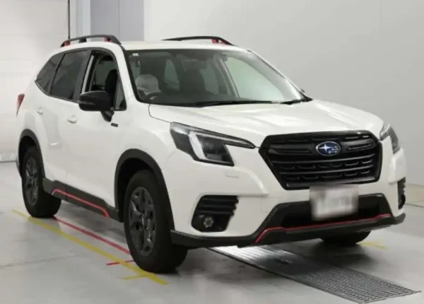 Suabru forester