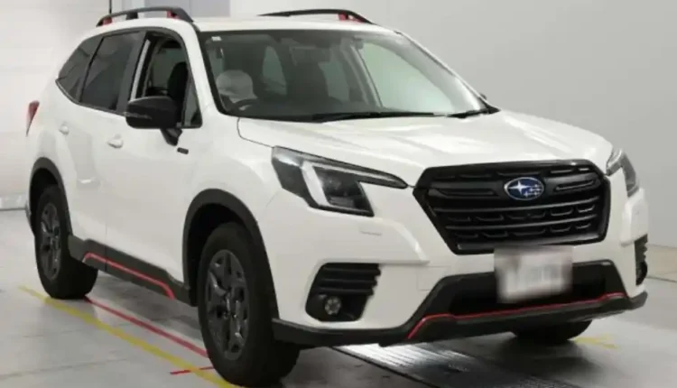 Suabru forester