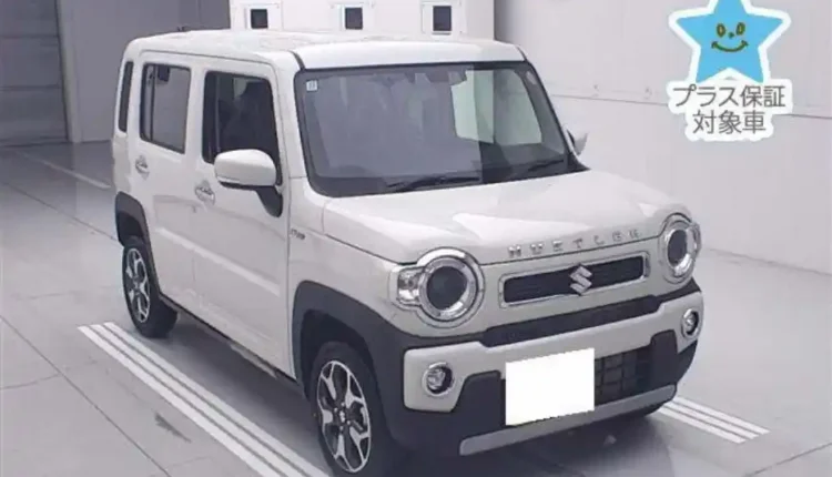 Suzuki Hustler 2024