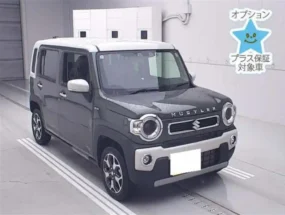 suzuki hustler in best price