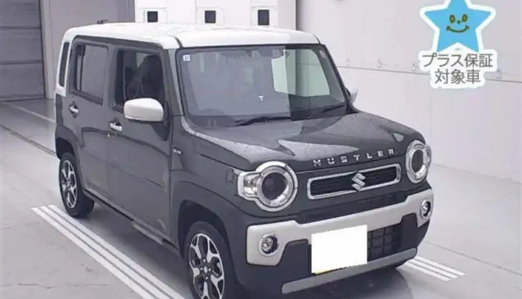 suzuki hustler in best price